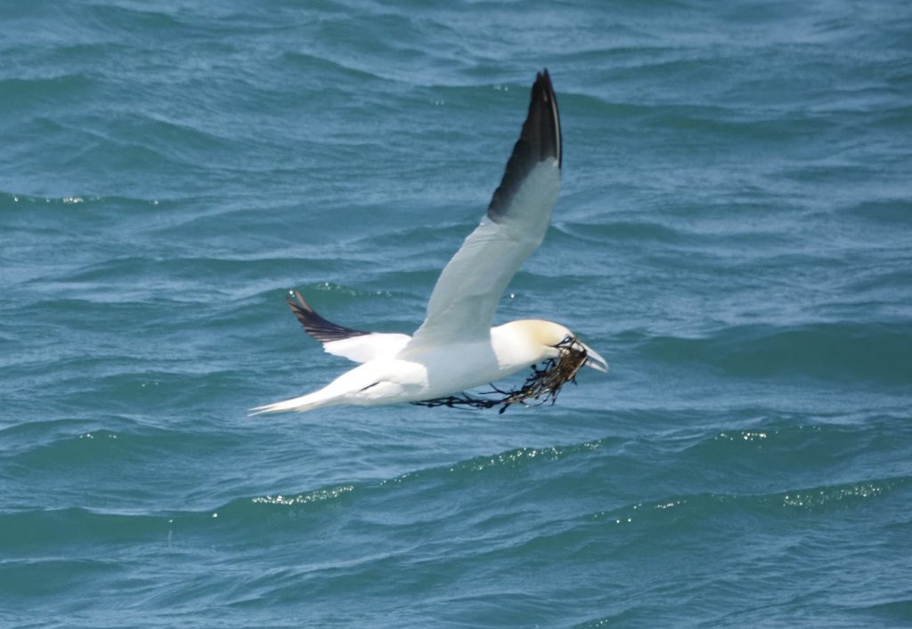 Acquiring materials to build your project