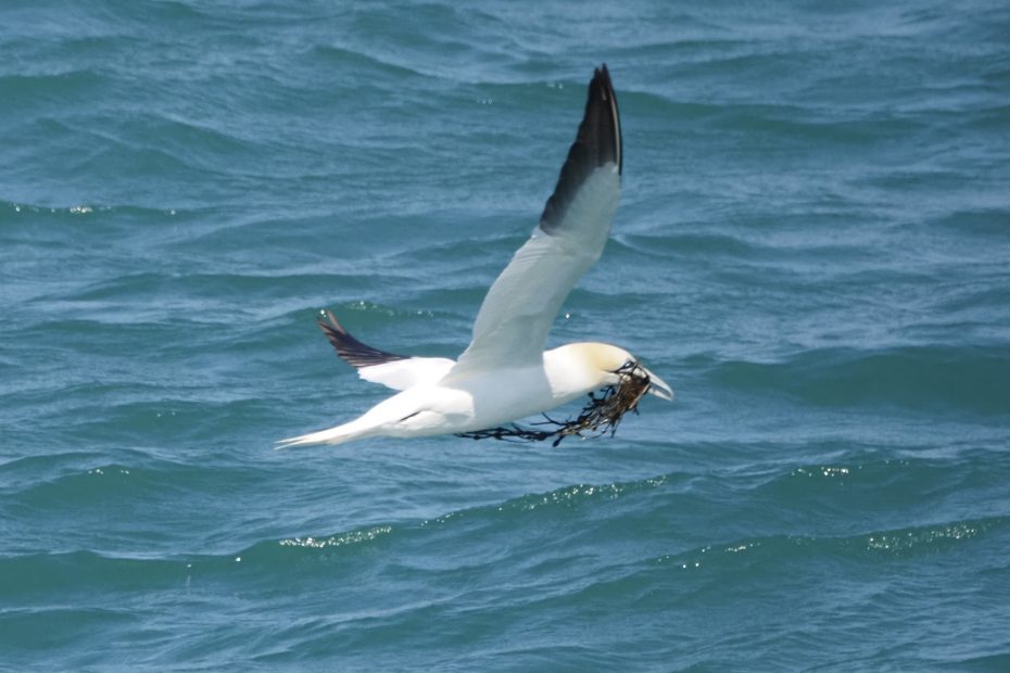 Acquiring materials to build your project