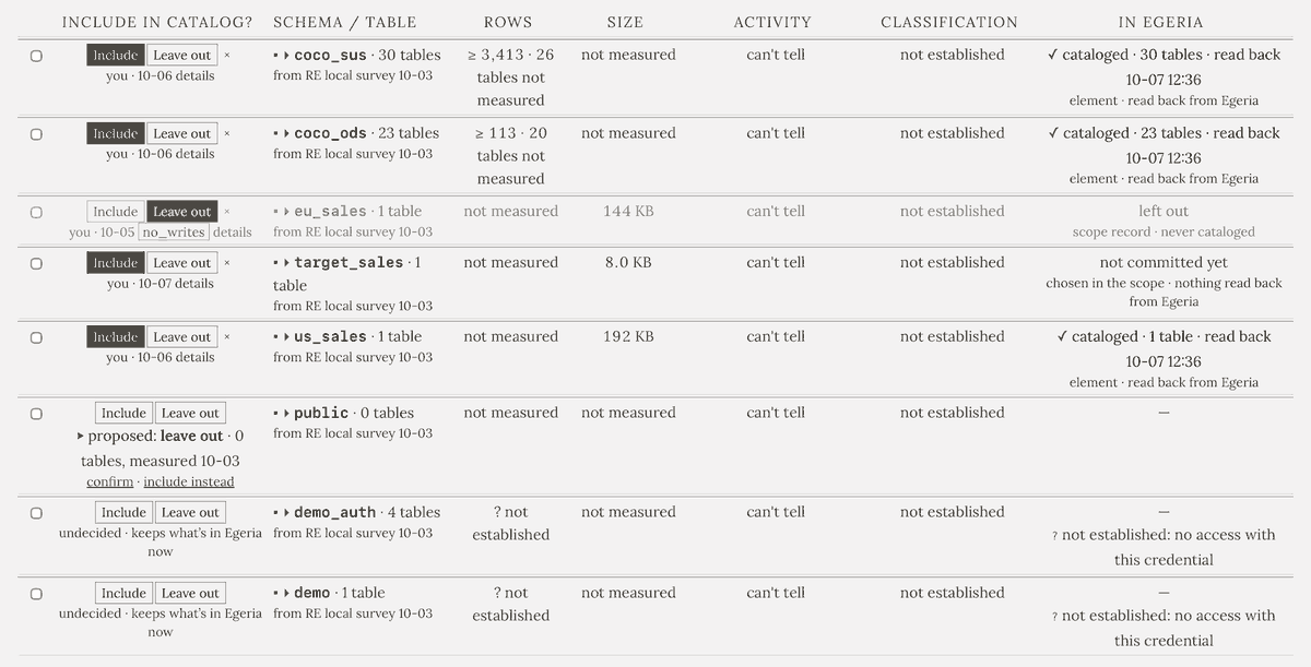 Resource Explorer's Curate stage: a table of database schemas with a decision beside each one. Four are marked Include, one Leave out, and three are still undecided, each row showing the schema name, its size and the evidence gathered about it.